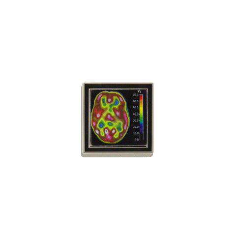 PET Scan Enamel Pin by Rad Girl Creations