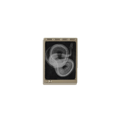 Veterinary Radiology Light Box Enamel Pin by Rad Girl Creations